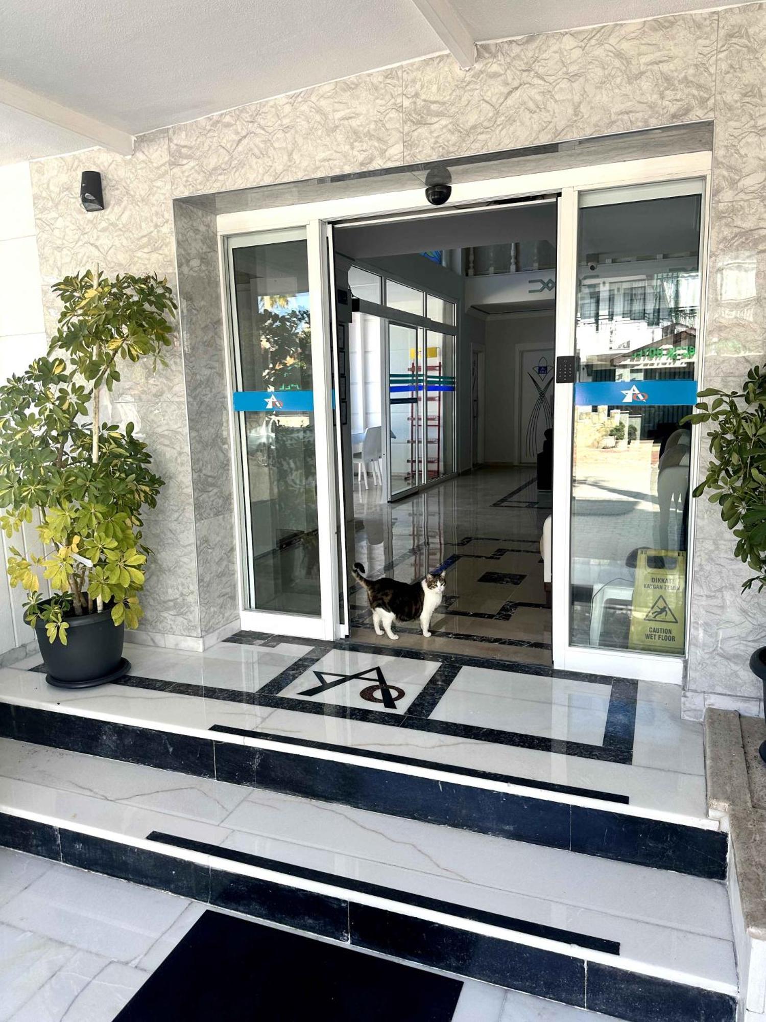 Amsterdam Boutique Hotel Kemer Zewnętrze zdjęcie